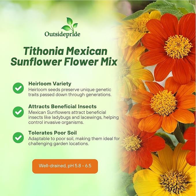 Outsidepride Mexican Sunflower Seeds Mix - 1000 Pcs Annual, Easy-to-Grow, Mixed Tithonia Speciosa Flower Seeds w/Drought-Tolerant Blooms for Pollinator Gardens & Vibrant Summer Landscaping
