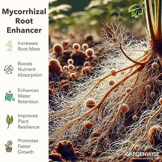 Organic Liquid Plant Food for Indoor Houseplants – All Purpose Fertilizer for Potted Plants, Vegetables, Succulents, Orchids, Roses – Miracle Growth with Mycorrhizae (32 oz)