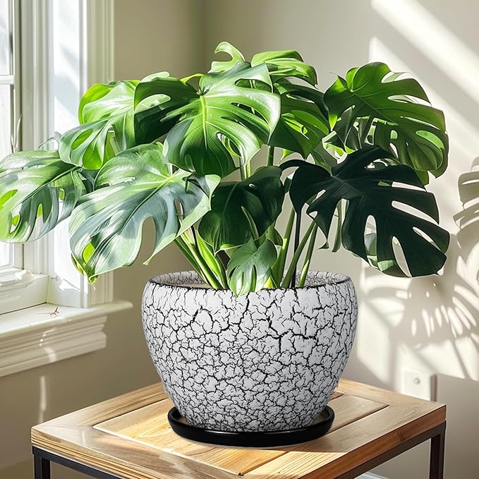Ceramic Planters for Indoor Plants - 10 Inch Plant Pot with Drainage Hole and Saucer, Large Flower Pot for Home Decor, White/Black