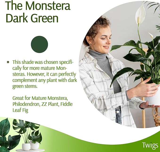 Plant Support Stakes, Stem Holder Structures for Indoor & Outdoor Use, Garden Accessories for Climbing & Potted Plants, Trellis Alternative - Monstera (Dark Green), 10 Pack, 22" L, Original