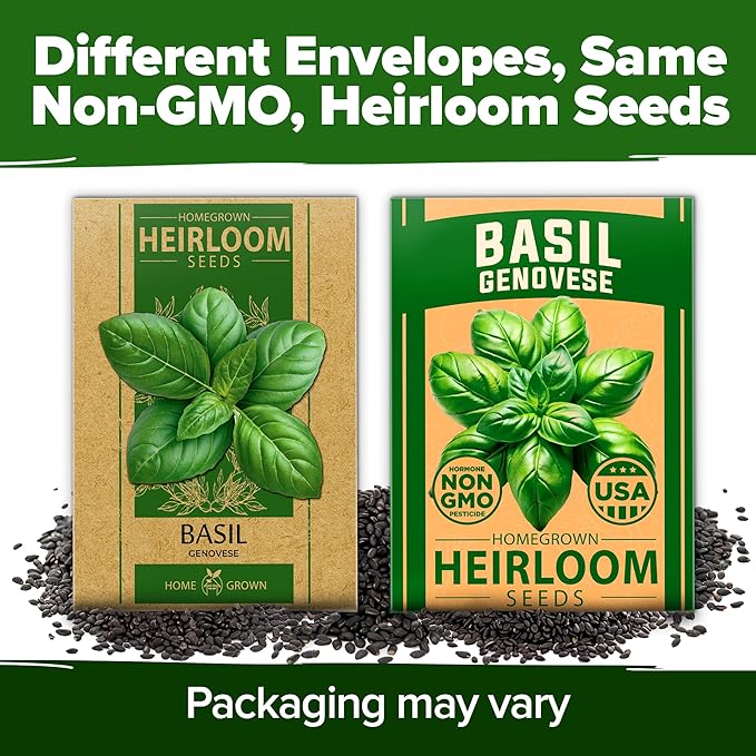 HOME GROWN 𝗨𝗦𝗔 𝗣𝗥𝗘𝗠𝗜𝗨𝗠 Genovese Basil Seeds Pack 1,750+ High Germination 𝗡𝗢𝗡-𝗚𝗠𝗢 Heirloom Seeds (Ocimum basilicum) Herb Seeds for Planting Indoor & Outdoor Gardening, for Culinary Use