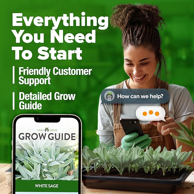 HOME GROWN 𝗨𝗦𝗔 𝗣𝗥𝗘𝗠𝗜𝗨𝗠 White Sage Seeds 323 Pack 𝗡𝗢𝗡-𝗚𝗠𝗢 Heirloom Seeds - Grow Aromatic Sage Plants for Your Herb Seeds Garden with Sage for Planting Outdoor or Indoor (Salvia apiana)