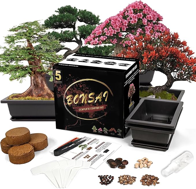 Bonsai Starter Kit, 5 Seeds Growing into Blue Spruce, Chinese Boxwood, Dawn Redwood, Flame Tree and Judas Tree, Including Complete Gardening Tools with A Gift Box, Christmas Gifts for Women
