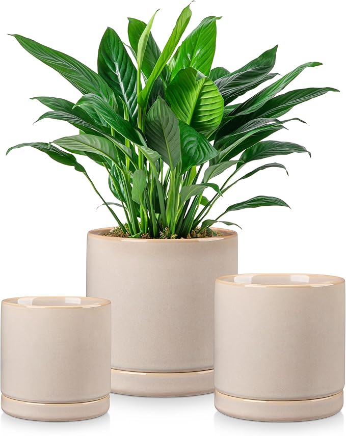 vancasso Ceramic Plant Pots, 3 Piece Planters for Indoor Plants, 4.25+5.25+6.25 Inch Flower Pots with Drainage, Plant Pots Indoor for Succulent, Pothos, Snake Plant and Money Tree, Etc (Gray)