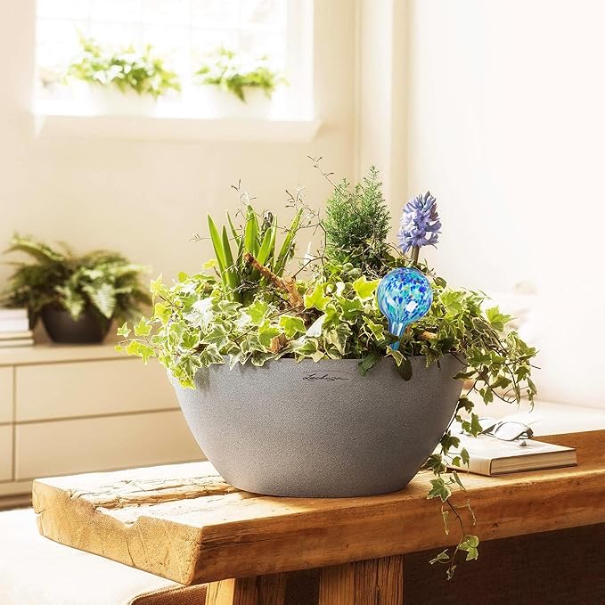 Plant Watering Globes Set of 2 - Large Self Watering Globes for Indoor & Outdoor Plants - Multicolored, Automatic, Glass Watering Bulbs for Daily Use, Plant Watering Devices