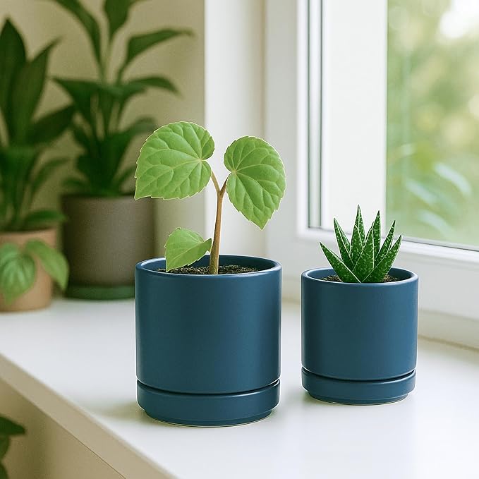 D'vine Dev 3.5 Inch & 4.7 Inch Ceramic Planter Pots for Plants with Drainage Hole and Saucer, X-Small Plant Pots Set, Teal, 94-G-XS-9