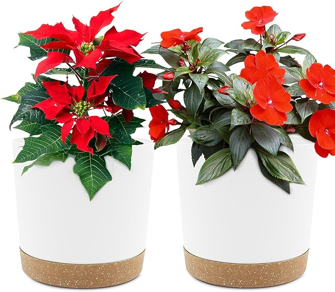 QCQHDU 6.5 inch Plant Pot, 2 Pack Planters for Indoor Plants with Drainage Holes & Saucer, Outdoor Flower Pots Home Garden Modern Decor