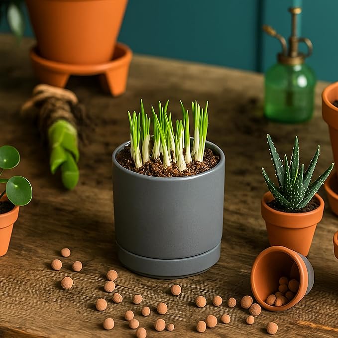 D'vine Dev Set of 4 Small Ceramic Plant Pots, 3.5 Inch Succulent Planter Pot for Plants with Drainage Hole and Saucer, Grey, 94-X-A-3