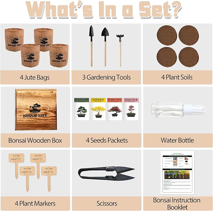 Bonsai Garden Starter Kit, 4 Seeds Growing into Sakura, Ginkgo, Black Pine, Red Flame, Including Complete Gardening Tools & A Wooden Box with Cover, Christmas Gifts for Men Women Beginners