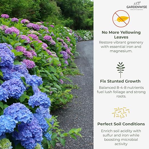 Slow Release Hydrangea Fertilizer with Iron & Sulfur – Indoor & Outdoor Soil Acidifier for Miracle Growth (5 qt)