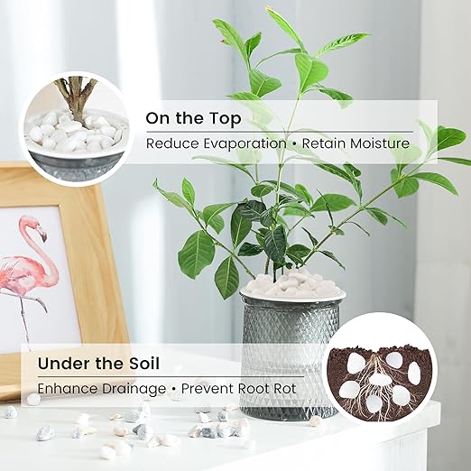 SIDONG 10 LB White River Rocks, 0.3-0.5 Inches Matte Pebbles for Indoor Plants, Aquarium Rocks Used in Fish Tank, Decorative Stones for Plants, Vases, Home Décor, Crafting, Garden Landscaping