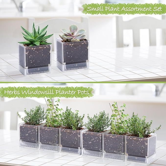 4 Inch Herb Planter Pot, Plastic Planter with Drainage Holes and Saucer, Modern Decorative Gardening Pot for Indoor Plants, Flowers, Herbs, Succulents, Clear, Set of 6, 76-Y-D-6
