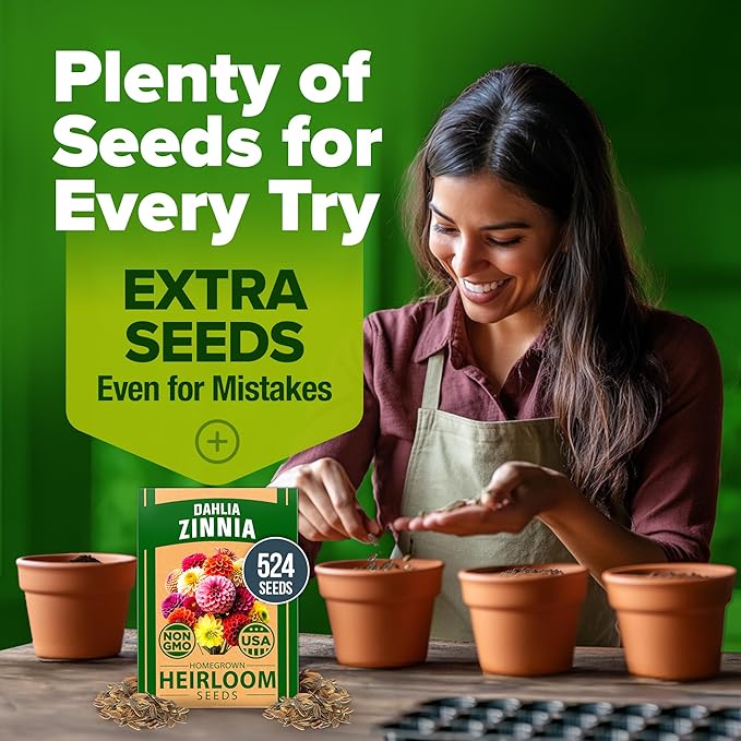 HOME GROWN 𝗨𝗦𝗔 𝗣𝗥𝗘𝗠𝗜𝗨𝗠 Zinnia Dahlia Seeds Pack for 2025 – 524 𝗡𝗢𝗡-𝗚𝗠𝗢 Flower Seeds | Vibrant Zinnia Elegans for Pollinator Gardens, Borders & Containers | Easy-to-Grow Outdoor Blooms