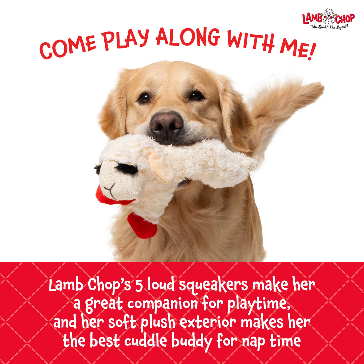 Multipet Lamb Chop Dog Plush Toy 10", Cream, 5 Squeakers