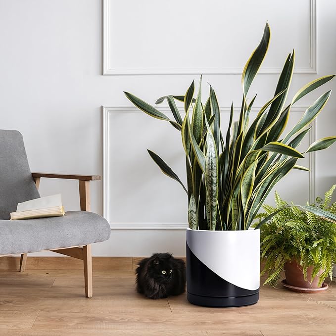 D'vine Dev 12 Inch Ceramic Planter Pot with Drainage Hole and Saucer, Indoor Cylinder Round Planter Pot, Oblique Monochrome Black and White, 94-O-F-K