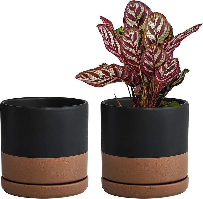 D'vine Dev Set of 2 Plants Pots, 6 Inch Ceramic Planter Pot for Plants with Drainage Hole and Saucer, Black/Speckled Tan, 94-V-C-7