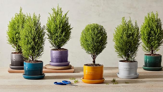 Le Creuset Stoneware Herb Planter, 5.5 Inches, Deep Teal
