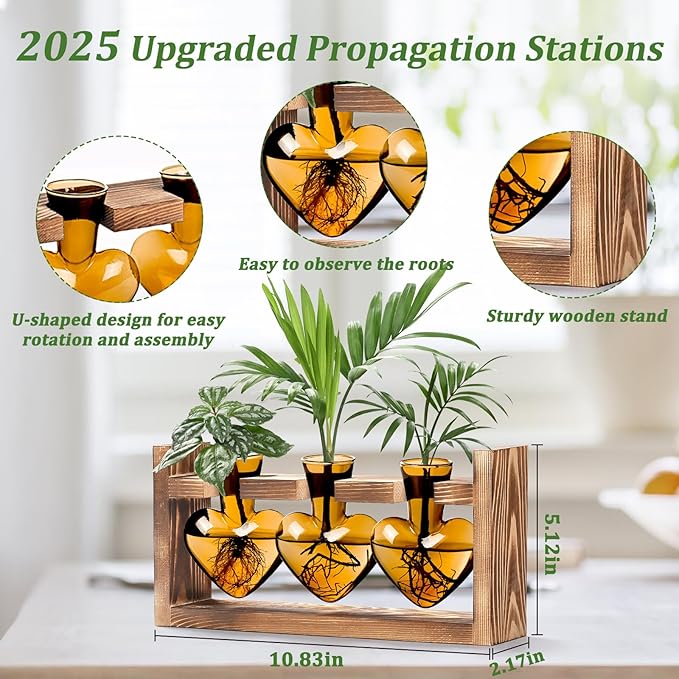 Lifecapido Heart Shaped Propagation Stations, Plant Terrarium with Wooden Stand, Plant Propagation Station for Hydroponics Plants Office Garden Home Decor, Gifts for Women Plant Lover (3 Vases, Amber)