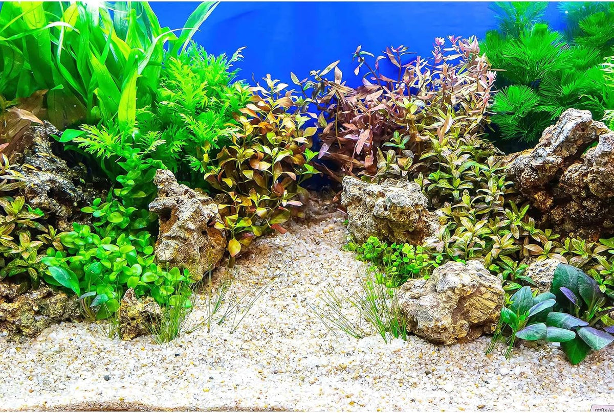 Aquarium Background Underwater Grass Leaves with Pebble Aquarium Backdrop Vivid and Fresh Green Aquatic Plant Stone River Bed and Lake Fish Tank Background Decor Vinyl 48x20in