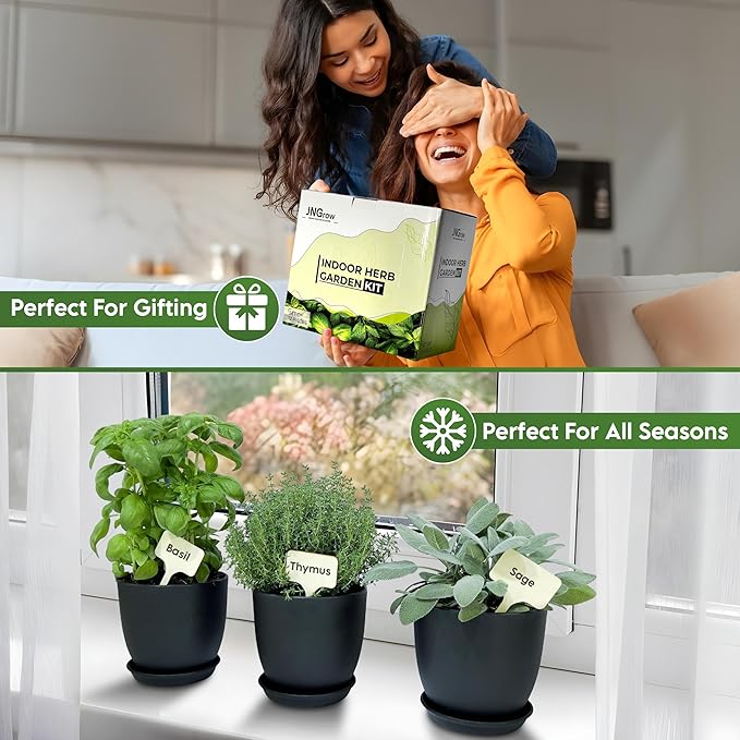 Indoor Garden Kit - Plant Pots with Drainage, Watering Can & Tools - Ideal Windowsill Planter Set - Modern Home & Kitchen Decor Gift - Black