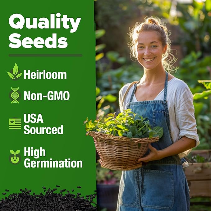 HOME GROWN Lemon Balm Seeds– 806 𝗡𝗢𝗡-𝗚𝗠𝗢 Heirloom Seeds for Planting – Melissa officinalis Herb for Tea, Garden, Indoor or Outdoor Growing–Plant for Pots, Beds & Hydroponics(Melissa officinalis)