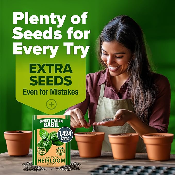 HOME GROWN 𝗨𝗦𝗔 𝗣𝗥𝗘𝗠𝗜𝗨𝗠 Italian Basil Seeds Bulk Pack 1,424 Sweet Large Leaf Basil Seeds for Planting 𝗡𝗢𝗡-𝗚𝗠𝗢 and Heirloom Herb Seeds for Planting Indoors or Outdoors (Ocimum basilicum)