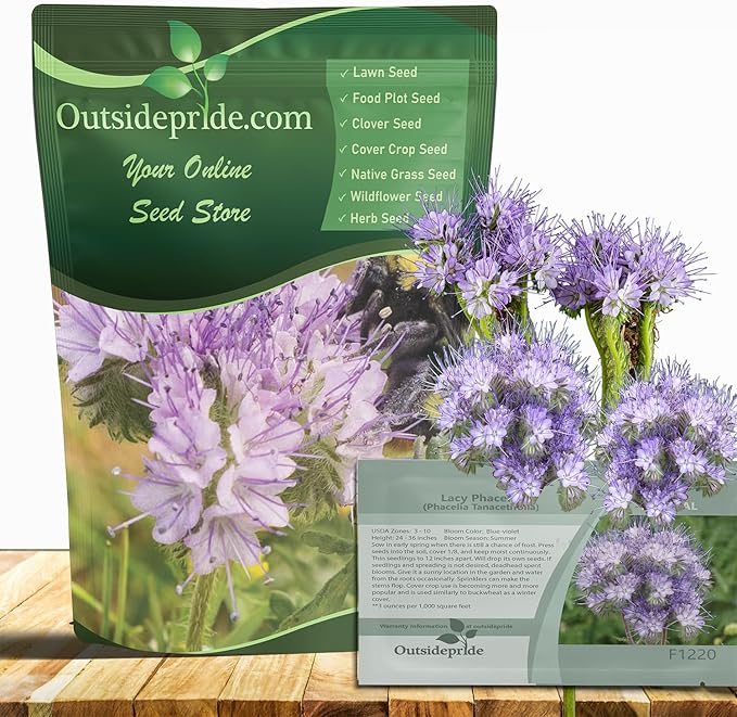 Outsidepride Lacy Phacelia Seeds for Planting - 5000 Pcs Annual, Drought-Tolerant Wildflower Seeds w/Light Violet Flowers, Ideal for Pollinator Gardens, Erosion Control, & Attracts Bees & Butterflies
