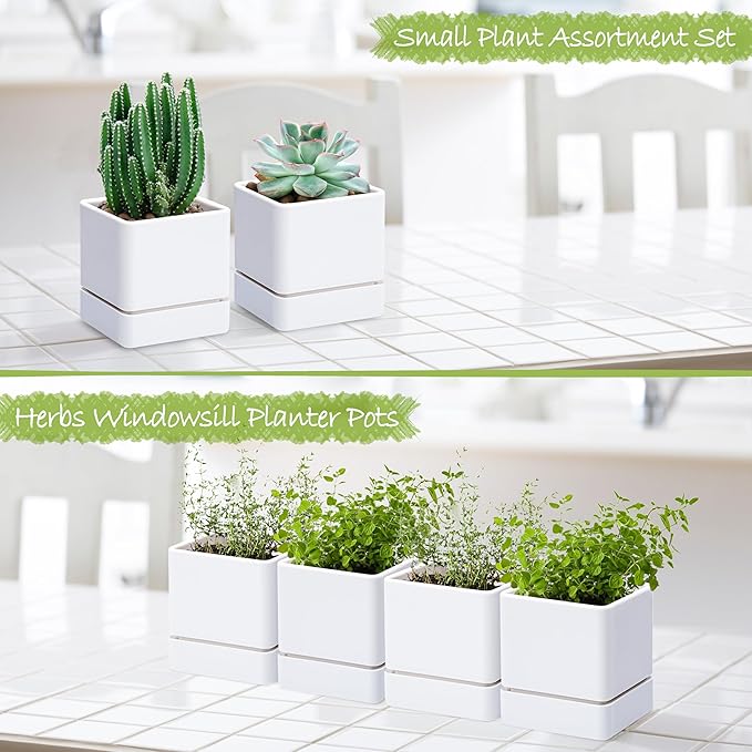 4 Inch Herb Planter Pot, Plastic Planter with Drainage Holes and Saucer, Modern Decorative Gardening Pot for Indoor Plants, Flowers, Herbs, Succulents, White, Set of 4, 76-Y-A-4