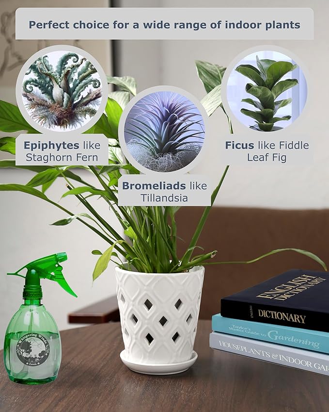 Whispering Winds Ceramic 5 x 6 Inch Orchid Pot with Holes & Saucer for Aeration and Drainage - Decorative Orchid Pots for Repotting, Prevent Over Watering & Root Rot (Carrara White)