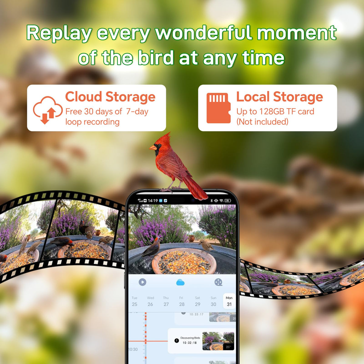 Smart Bird Feeder with 2K Camera: Wireless Wild Bird Feeder Solar Powered
