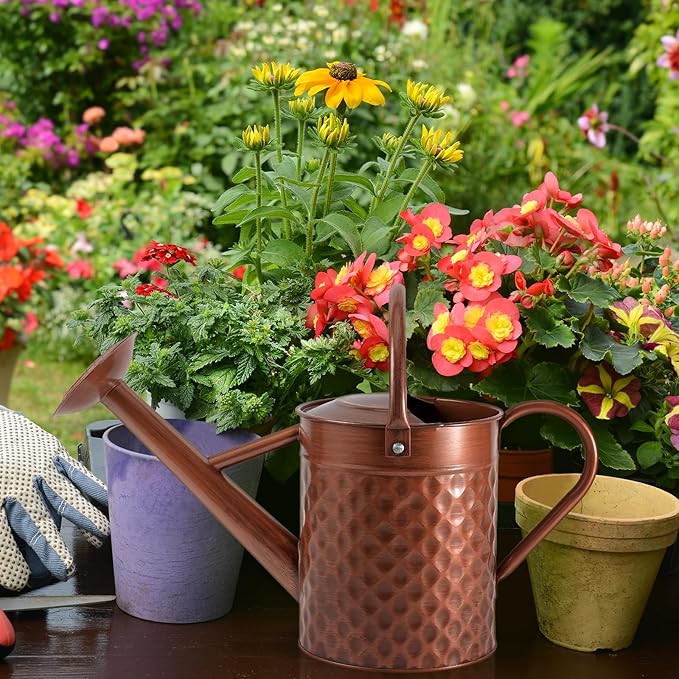 1 Gallon Metal Watering Can for Outdoor Indoor Plants, Copper Colored Watering Can with Removable Spray Spout, Ideal for Garden Watering