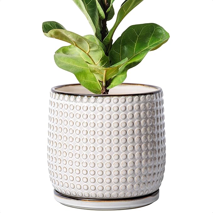 D'vine Dev 8 Inch Ceramic Beaded Stoneware Planter Pot - Flower Pot with Drainage Holes and Saucers for Indoor Succulent Plants or Flowers, Smoked White, 27-C-Q-1