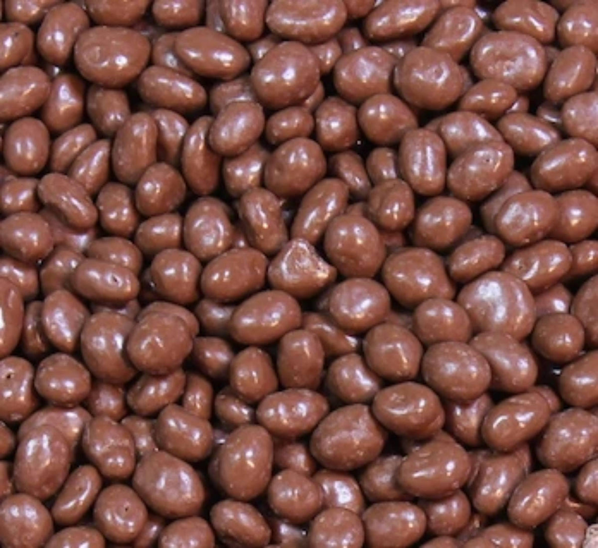 Milk Chocolate Covered Raisins, Bulk Milk Chocolate Covered Candy, 2 lb
