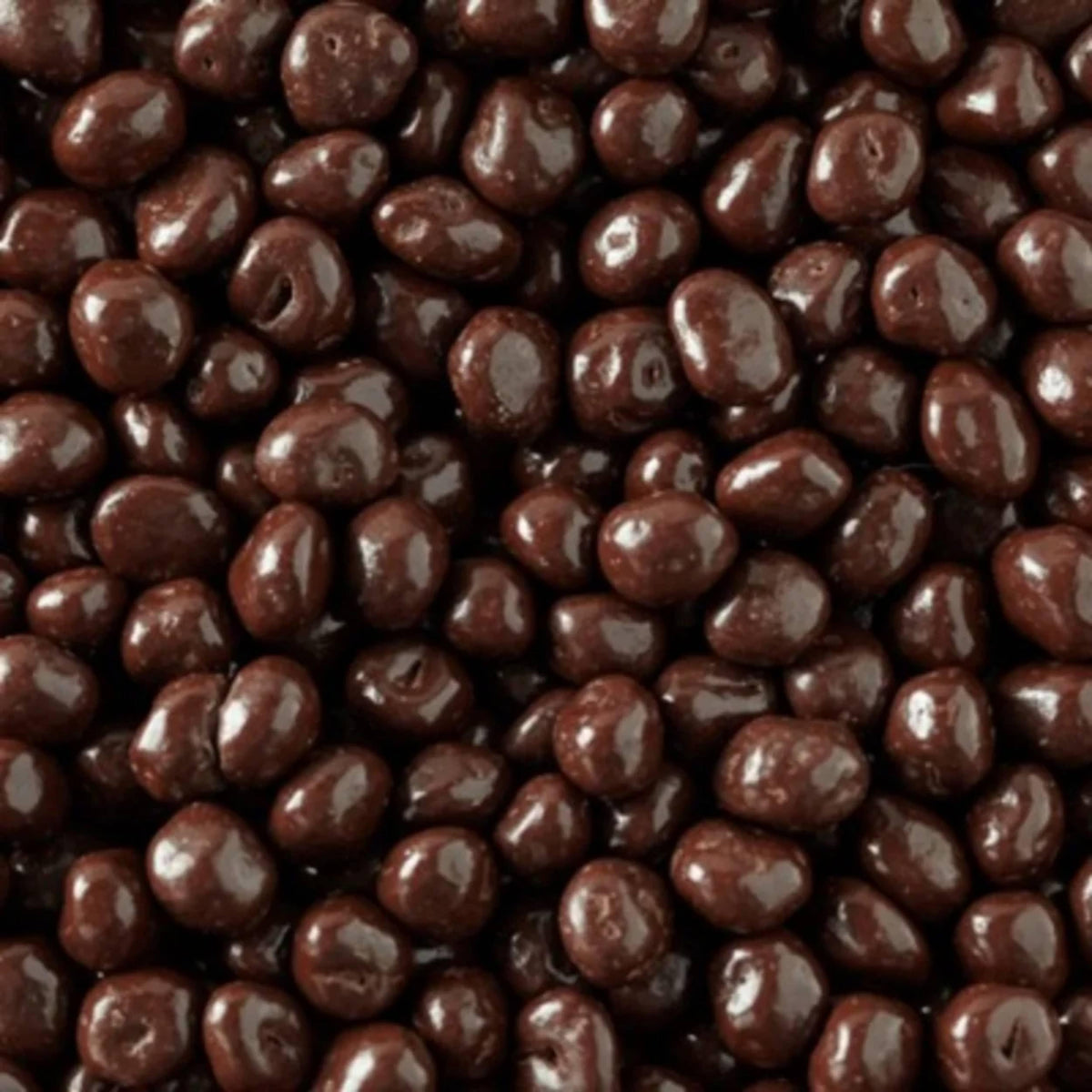 Dark Chocolate Covered Raisins, Bulk Dark Chocolate Covered Candy, 2 lb