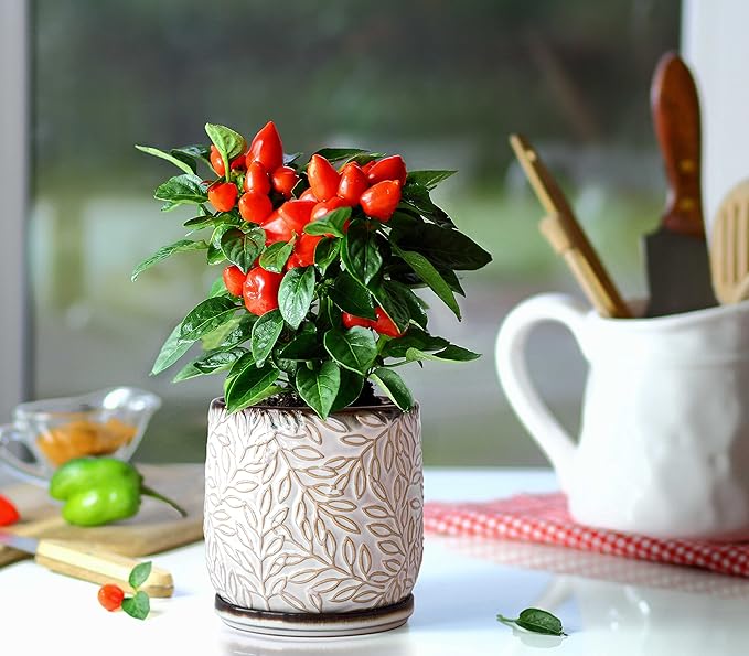 D'vine Dev 5 Inch Embossed Leaves Stoneware Planter Pot with Drainage Hole and Saucer, Smoked White, Set of 1, 27-A-V-1