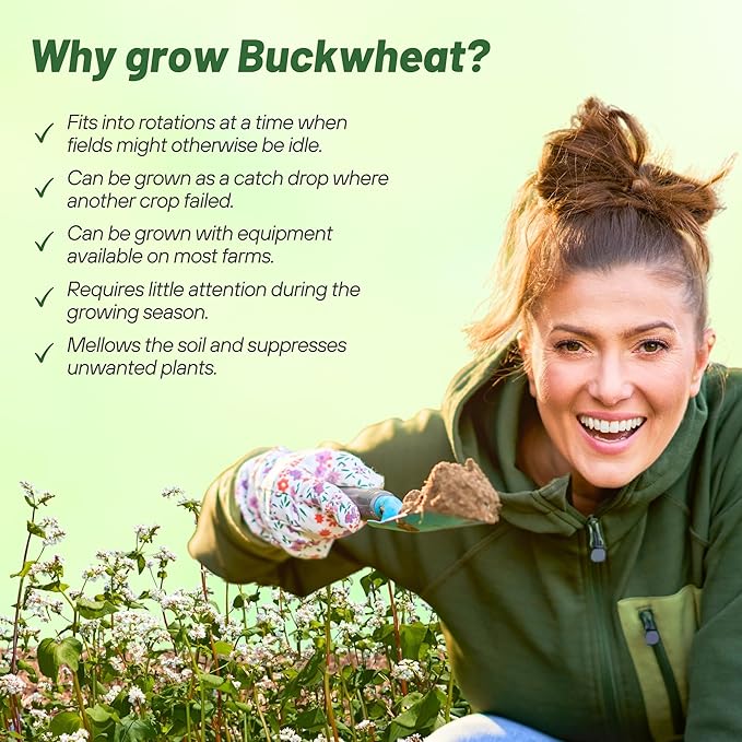 Outsidepride Buckwheat Seeds - 1oz Annual, Fast-Growing, Easy to Grow Buckwheat Cover Crop Seeds for Green Manure, Bee Pasture & Pollinators, Wildlife Habitat, Soil Improvement, and Erosion Control