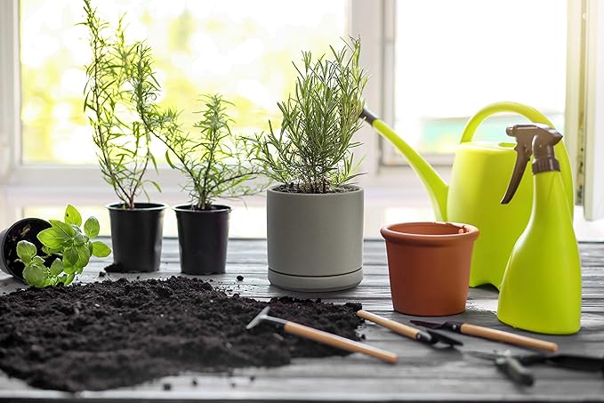 D'vine Dev Set of 4 Small Ceramic Plant Pots, 4.6 Inch Succulent Planter Pot for Plants with Drainage Hole and Saucer, Grey, 94-X-B-3