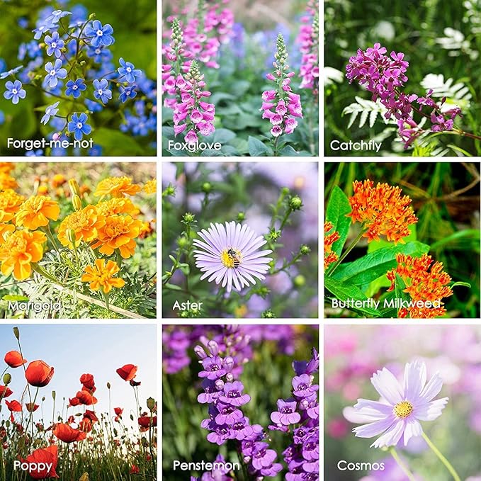 Wildflower Seeds Shaker - Hummingbird and Butterfly Mix - 100,000+ Wild Flower Seeds - in Beautiful Easy to Sow Seed Shaker - Attract Pollinators with These 23 Pure Non-GMO Varieties