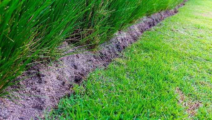 Brownie Brand Majestic Hulled Bermudagrass Seed | Premium Turf Grass for Dense, Drought-Resistant Lawns | Fast-Growing, Heat-Tolerant, Certified Seed for High-Traffic Areas. (25 Pound)
