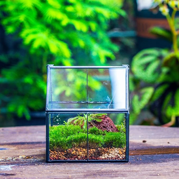 NCYP Mini Glass Geometric Terrarium with Lid - 4.25" x 4.25" x 4.92" Small House Shape Close Planter Pot for Succulents Plant - Handmade, Home Garden Office Tabletop Decor, Black (Terrarium Only)