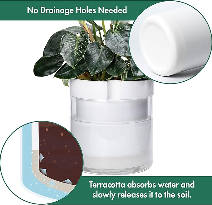 Phoenix Vine 10 Inch Self Watering Planter, White Terracotta Clay Pot with Glass Reservoir for Indoor Plants, Herbs, Flowers, Set of 1, 52-B-I-1