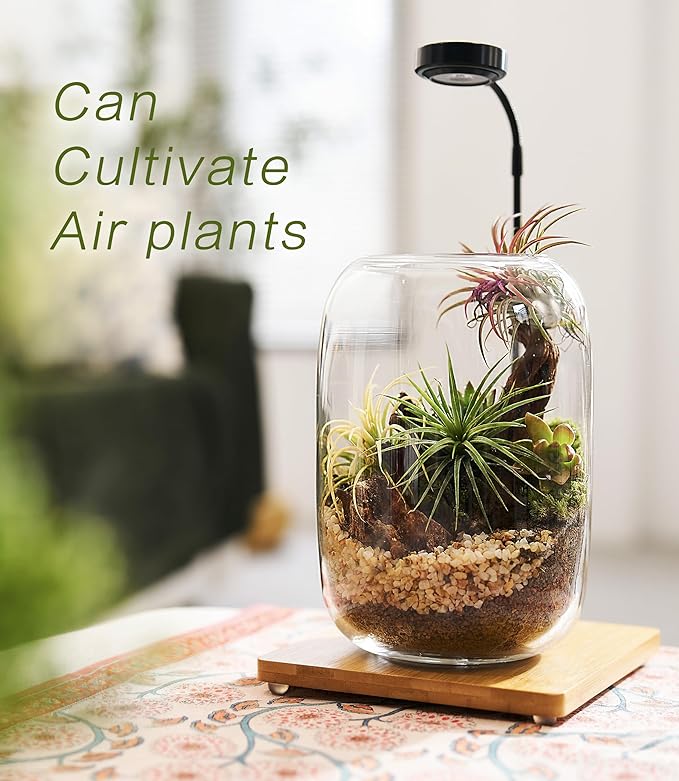 Terrarium Kit/Supplies Terrarium Plants Set with Grow Light, for Succulents Miniature Gardening, Include Terrarium jar Tool Set Live Moss Rocks Soil Driftwood and Decor, for Plant Lovers
