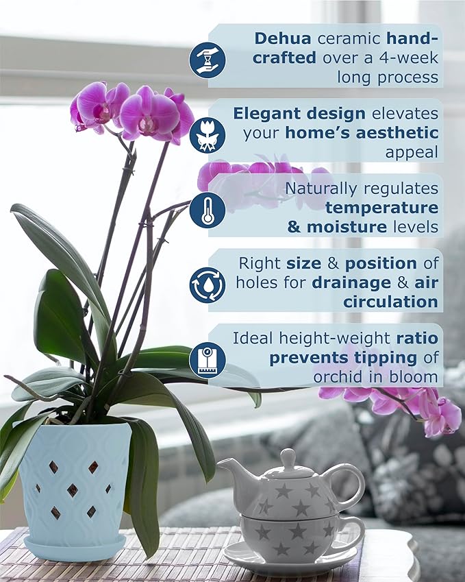 Whispering Winds Ceramic 5 x 6 Inch Orchid Pot with Holes & Saucer for Aeration and Drainage - Decorative Orchid Pots for Repotting, Prevent Over Watering & Root Rot (Charlotte Blue)