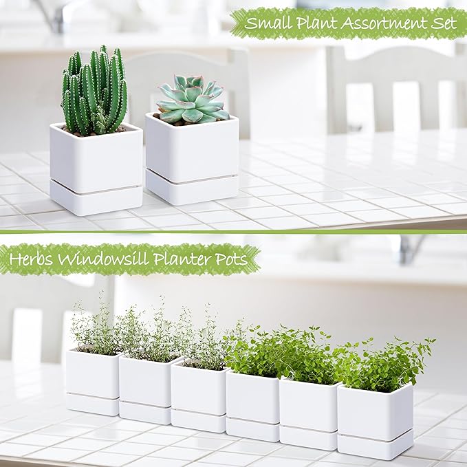4 Inch Herb Planter Pot, Plastic Planter with Drainage Holes and Saucer, Modern Decorative Gardening Pot for Indoor Plants, Flowers, Herbs, Succulents, White, Set of 6, 76-Y-A-6