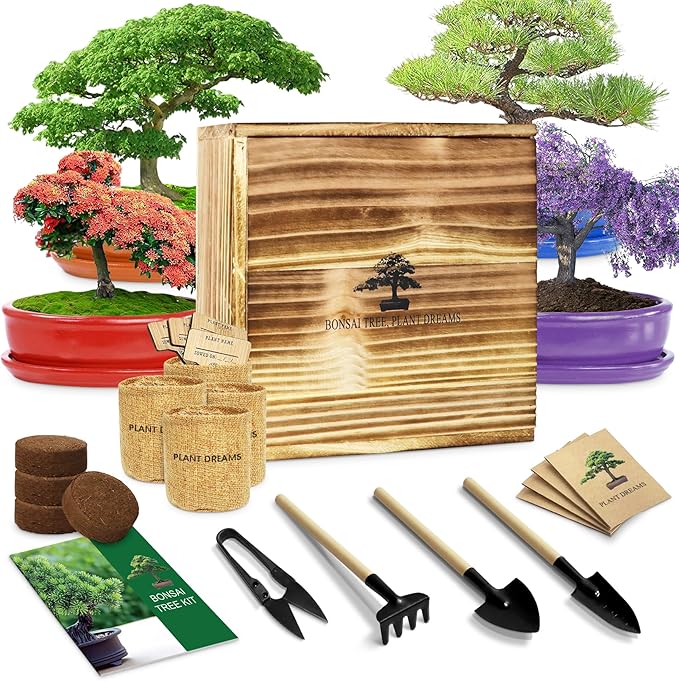 Bonsai Tree Kit – DIY Japanese Bonzai Trees with All-in-One Indoor Plant Growing Tools & Planters – Unique Gardening Gifts for Women, Men & Kids