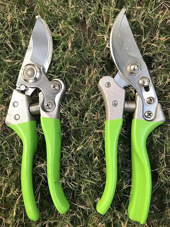 Garden Shears, Japanese Pruning Shears for Heavy Duty, Flowers Herbs Grapes Plant and Branch Cutters, Clippers, Trimmers, Scissors (Green)
