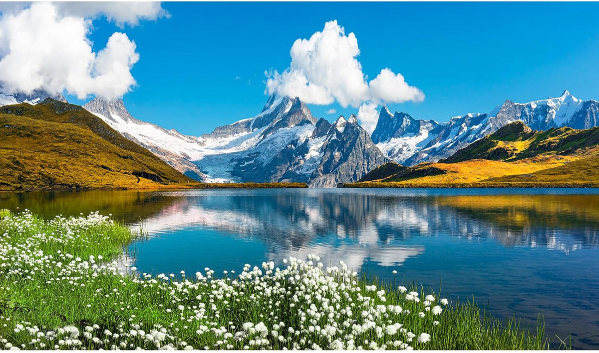 Mountains Lake Aquarium Background Bernese range View Fish Tank Background Switzerland Alps Grindelwald Valley Lake Terrarium Background Fantastic Natural Landscape Aquarium Fish Tank Decors 72x16in