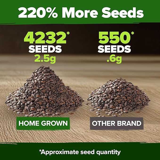 HOME GROWN Catnip Seeds (2 Pack) 𝗡𝗢𝗡-𝗚𝗠𝗢, 𝗨𝗦𝗔-𝗦𝗢𝗨𝗥𝗖𝗘𝗗 Heirloom Herb 4232 Seeds - Indoor or Outdoor Seed - High-Germination Cat Nip - Cat Safe Plants (Nepeta cataria)