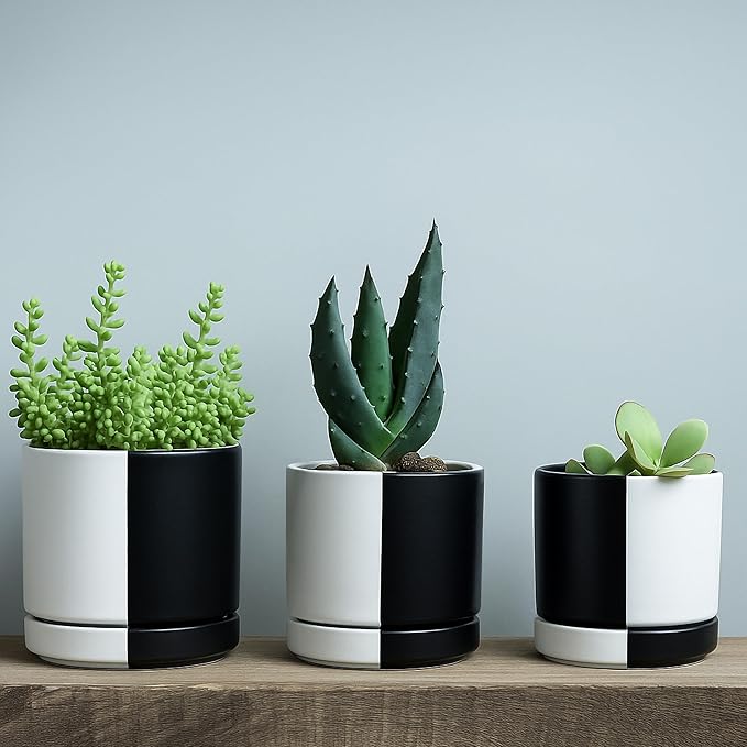 D'vine Dev 4.7 Inch Ceramic Planter Pot with Drainage Hole and Saucer, Indoor Cylinder Round Planter Pot, Split Monochrome Black & White, 94-O-B-0