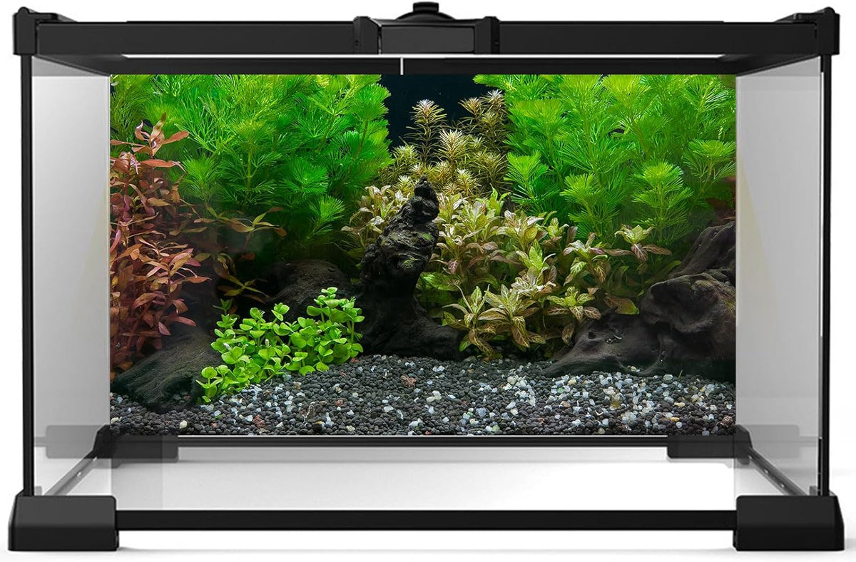 Aquarium Background Exquisite Underwater Grass Leaves with Pebbles Aquarium Backdrop Vivid Green Aquatic Plant Stone with Dead Woods and Fresh Leaves Fish Tank Wallpaper 36x24in